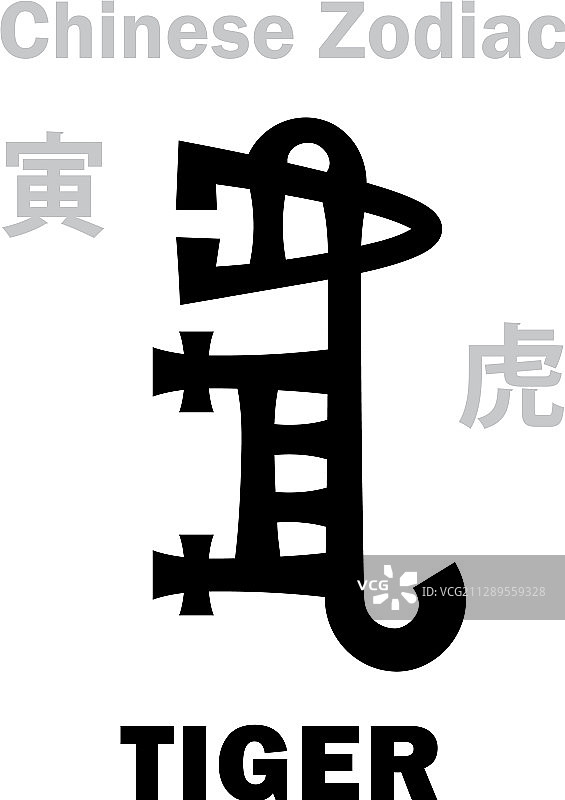 中国生肖虎占星图案图片素材