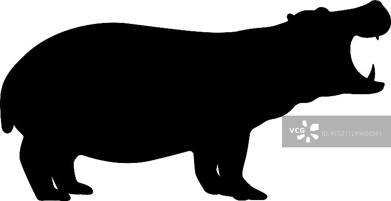 河马轮廓图片素材