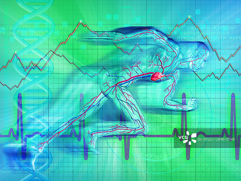 男人的心跳图插画图片素材