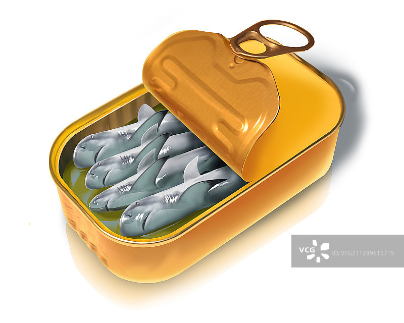 打开的鱼罐头插画图片素材