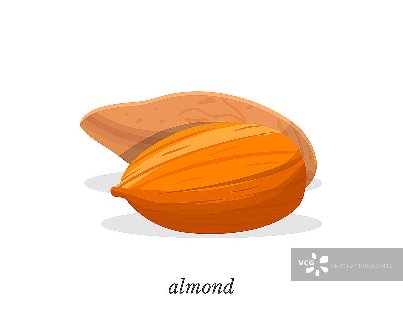 扁平风格杏仁排版设计图片素材