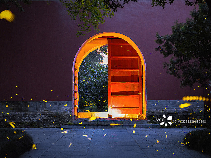 仲夏夜的萤火虫图片素材