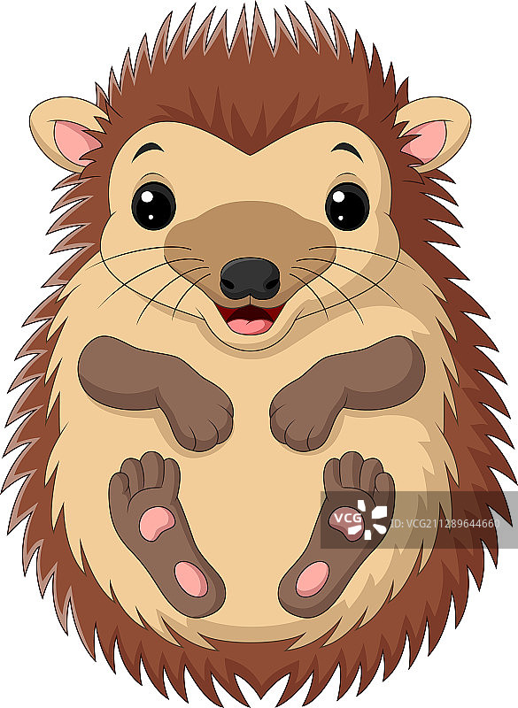 卡通可爱小白刺猬图片素材