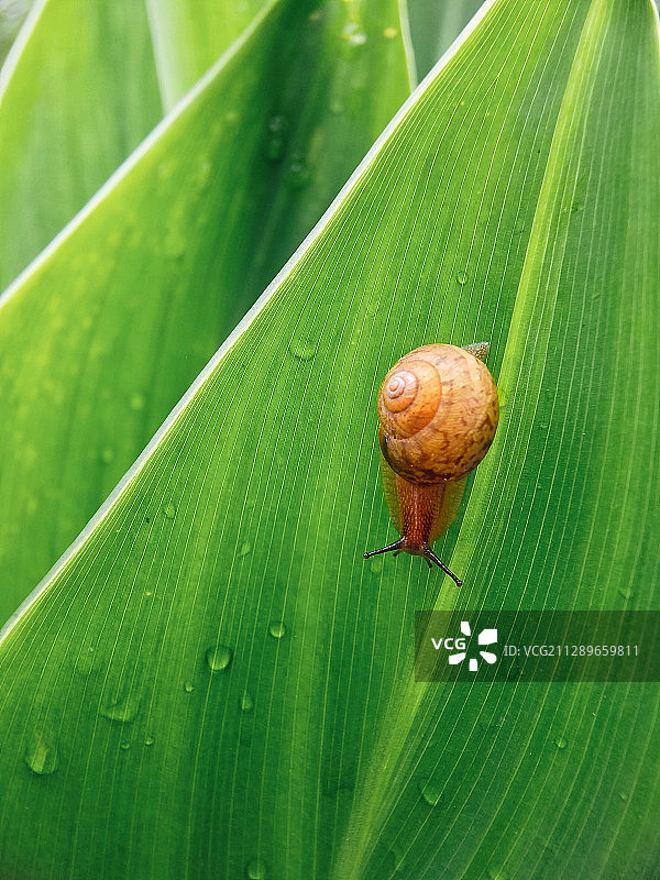 居高临下图片素材
