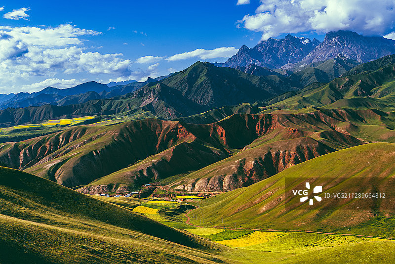 油菜花季的中国青海省海北藏族自治州祁连县卓尔山景区图片素材