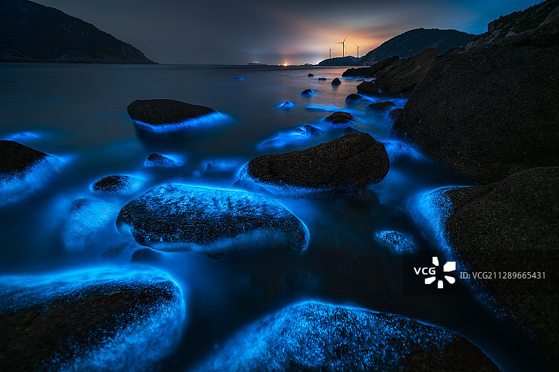 梦幻的平潭海岸蓝眼泪图片素材