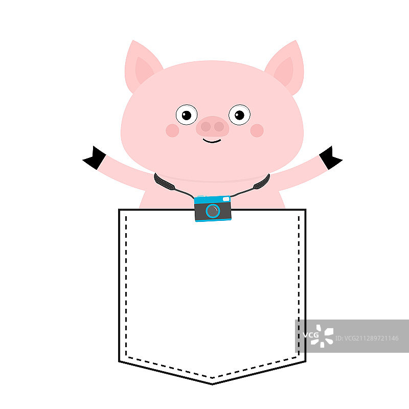 口袋里的可爱小猪头像相机图片素材