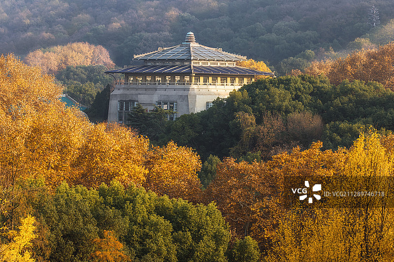 武汉大学秋色（7）图片素材