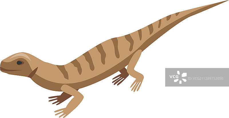 2.5D风格的棕色条纹蜥蜴图标图片素材