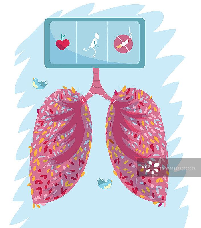 健康的肺部插图图片素材
