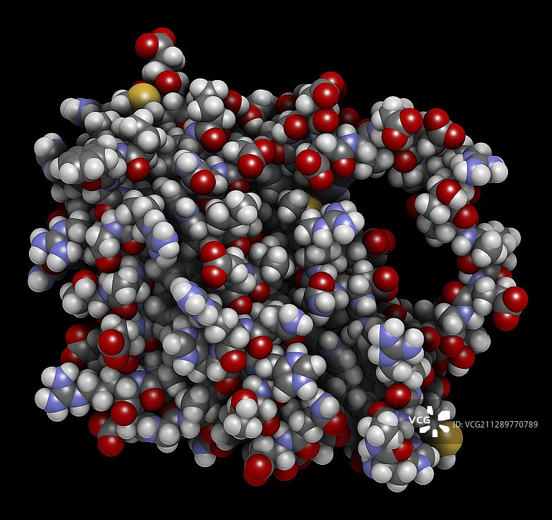 BCL-2调节蛋白分子结构图图片素材