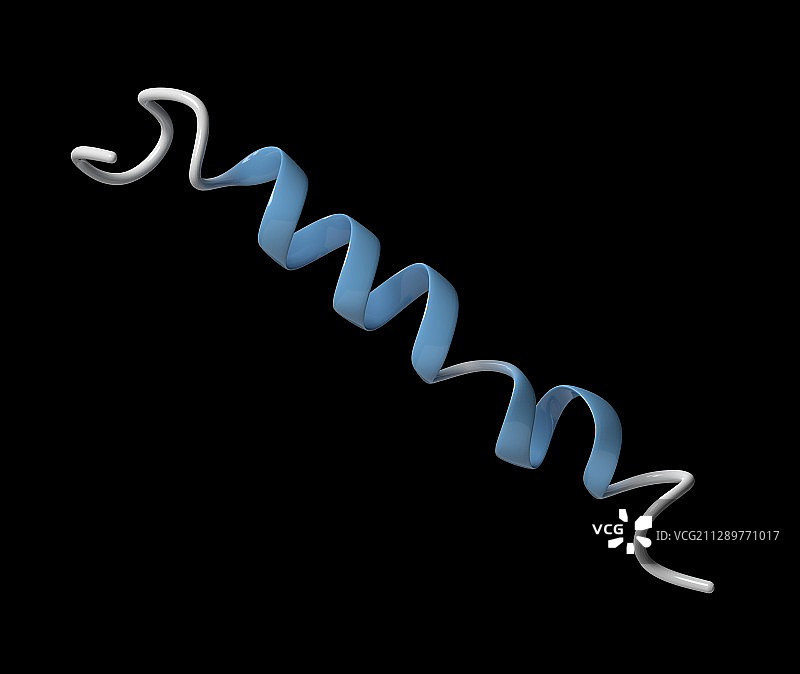 胰高血糖素样肽-1 分子结构示意图图片素材