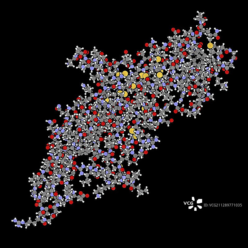 绒毛膜促性腺激素分子图图片素材