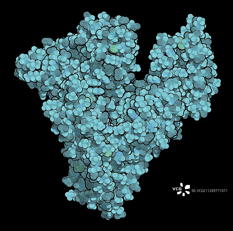 人血清白蛋白分子图图片素材