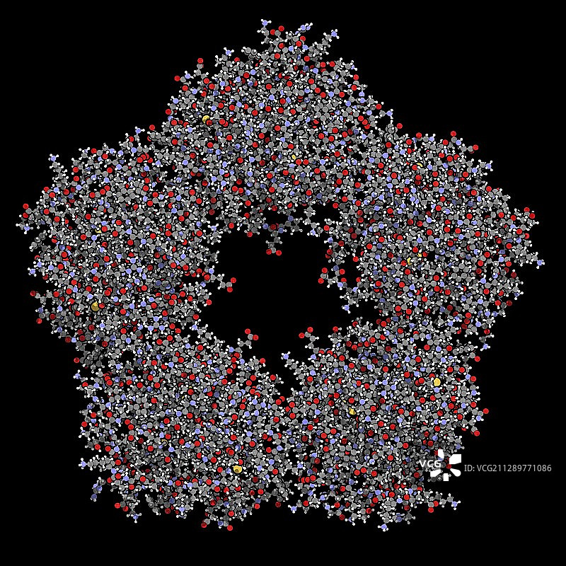 C-反应蛋白分子，图示图片素材