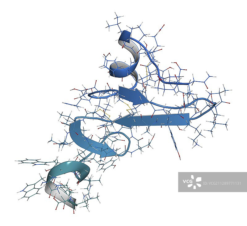 表皮生长因子分子图示图片素材