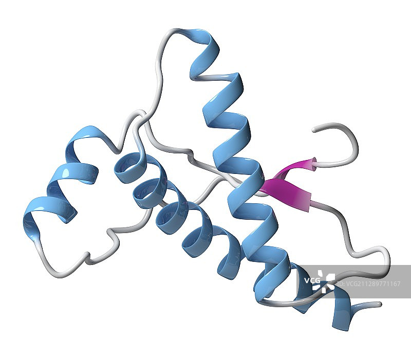 人类朊病毒蛋白分子图图片素材