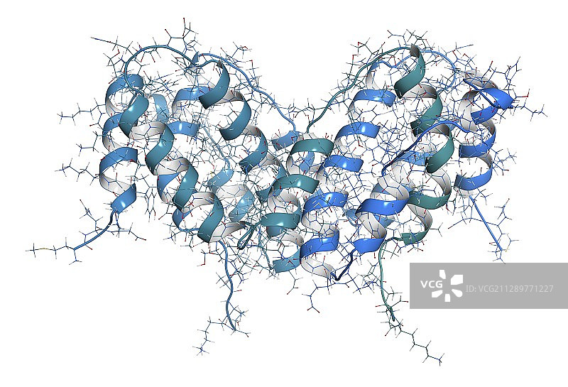 干扰素伽马分子示意图图片素材