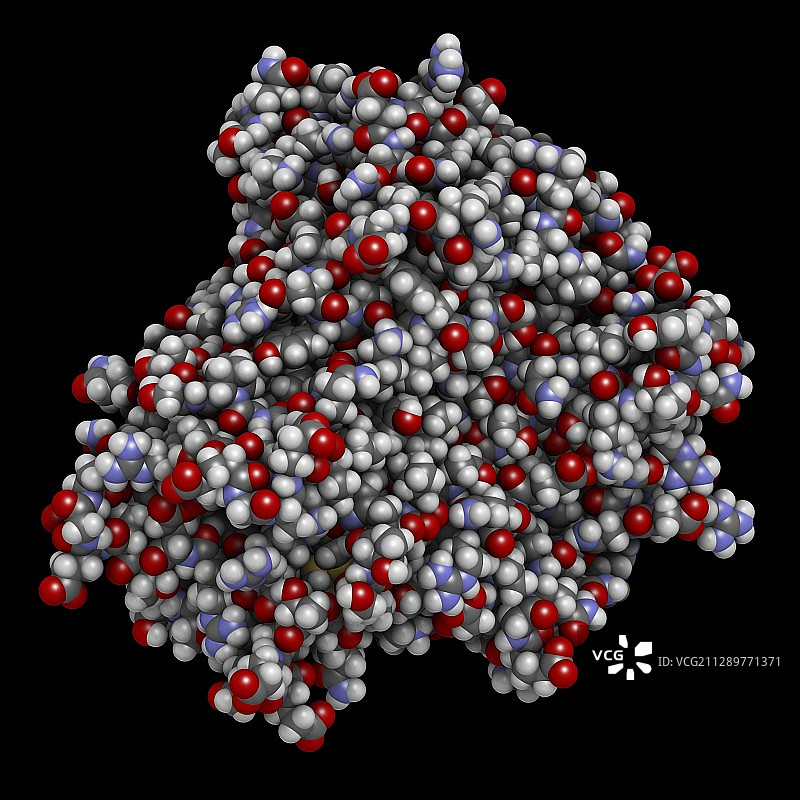 肿瘤坏死因子α分子结构示意图图片素材