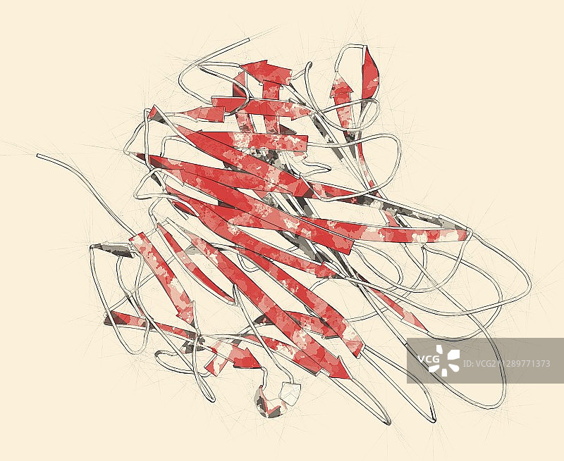 肿瘤坏死因子α分子结构示意图图片素材