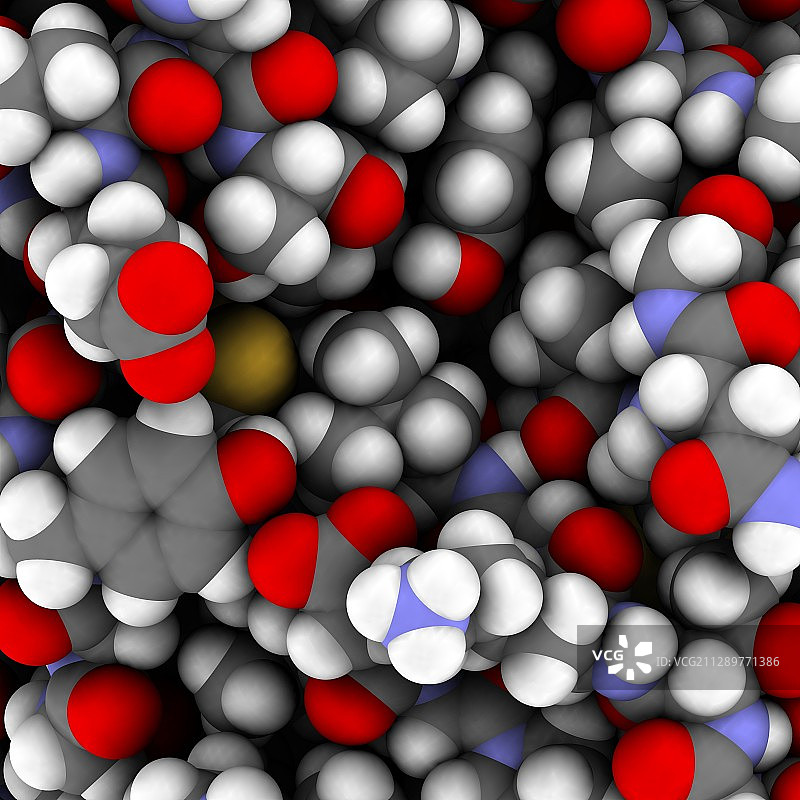 胰蛋白酶表面分子结构图图片素材