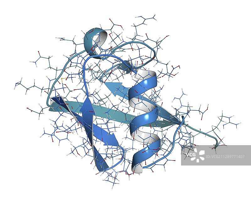 泛素分子，图示图片素材