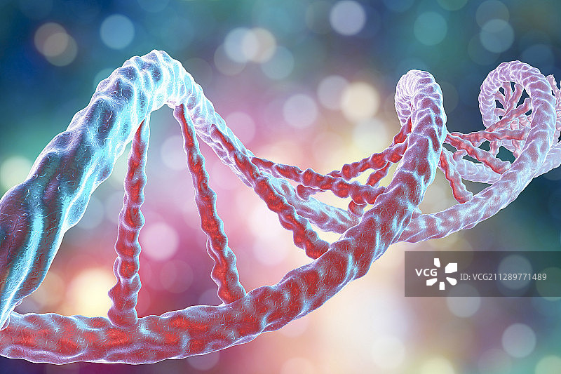 DNA分子、插图图片素材