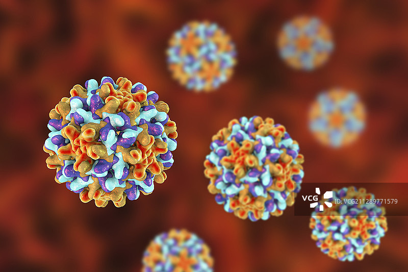 乙型肝炎病毒颗粒，图示图片素材