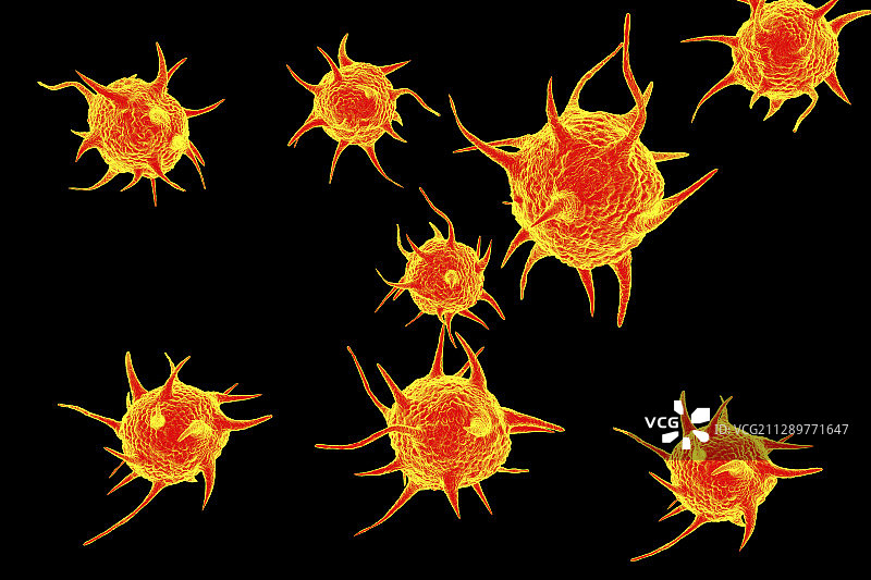 寄生微生物插画图片素材