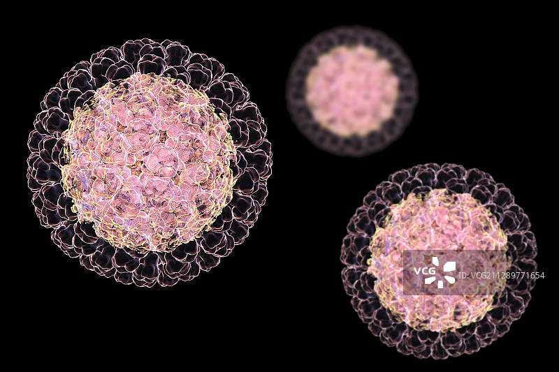 轮状病毒颗粒示意图图片素材