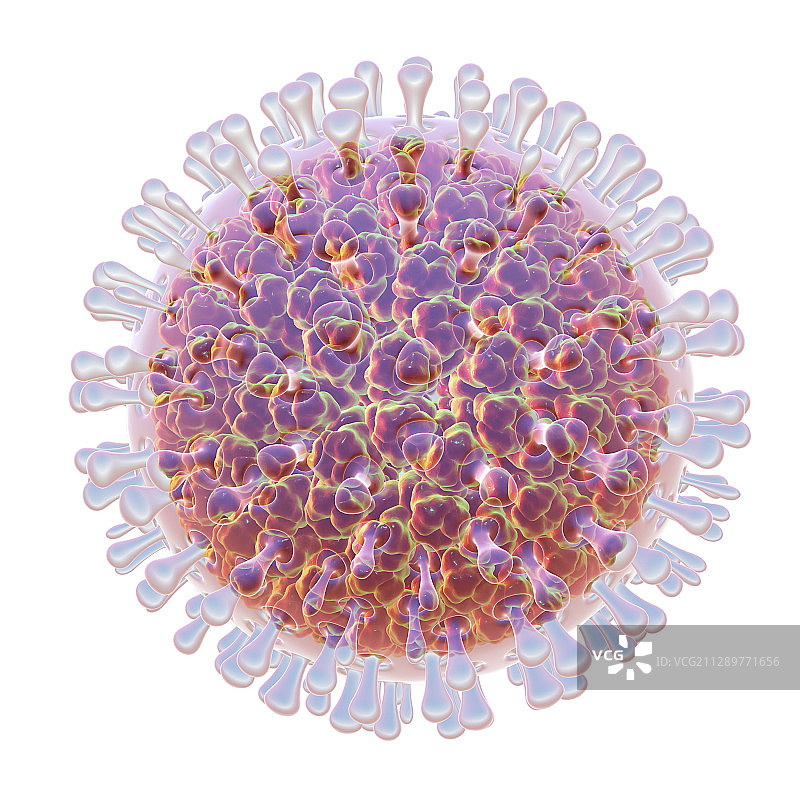 轮状病毒颗粒示意图图片素材