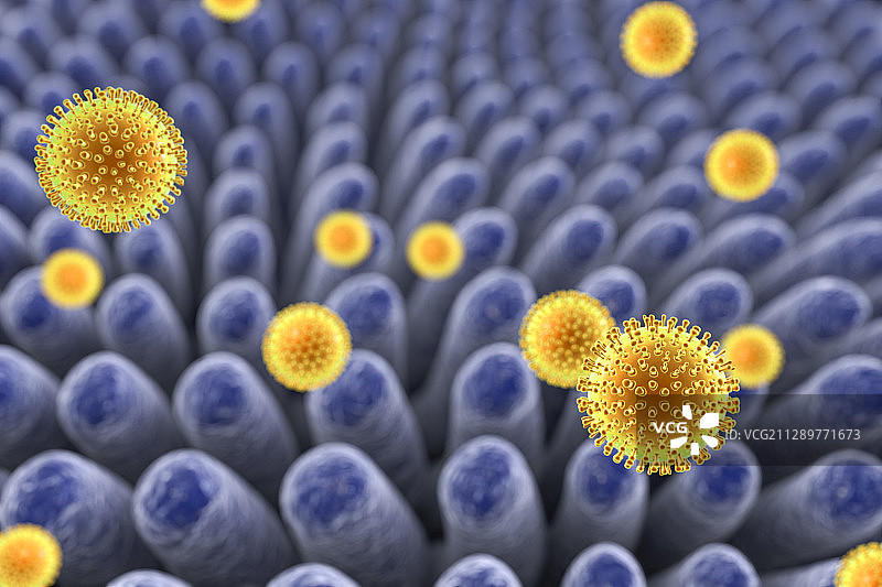 感染肠道的轮状病毒图片素材