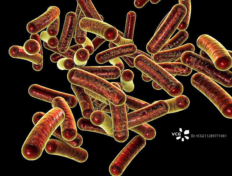 志贺氏菌，图示图片素材