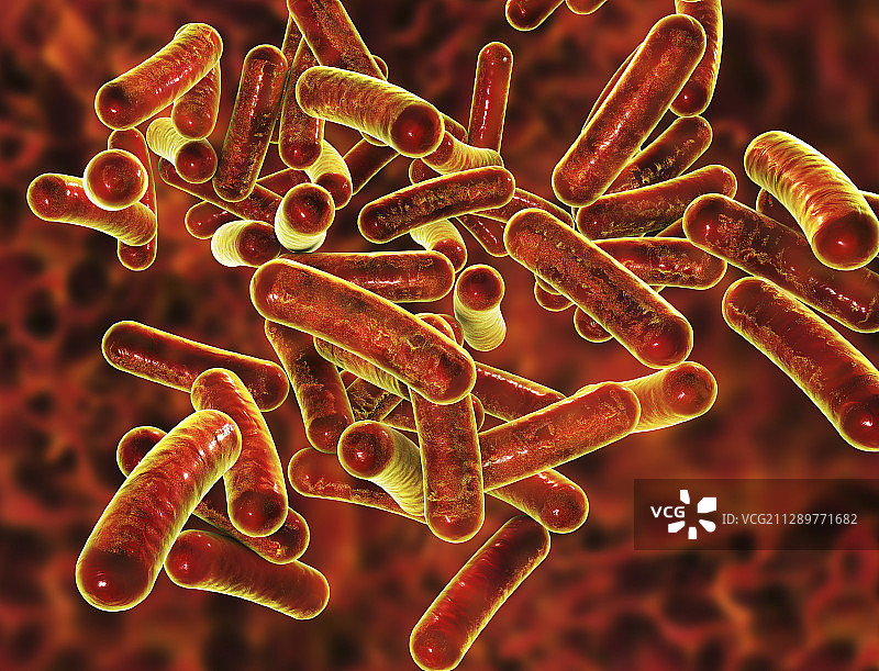 志贺氏菌，图示图片素材