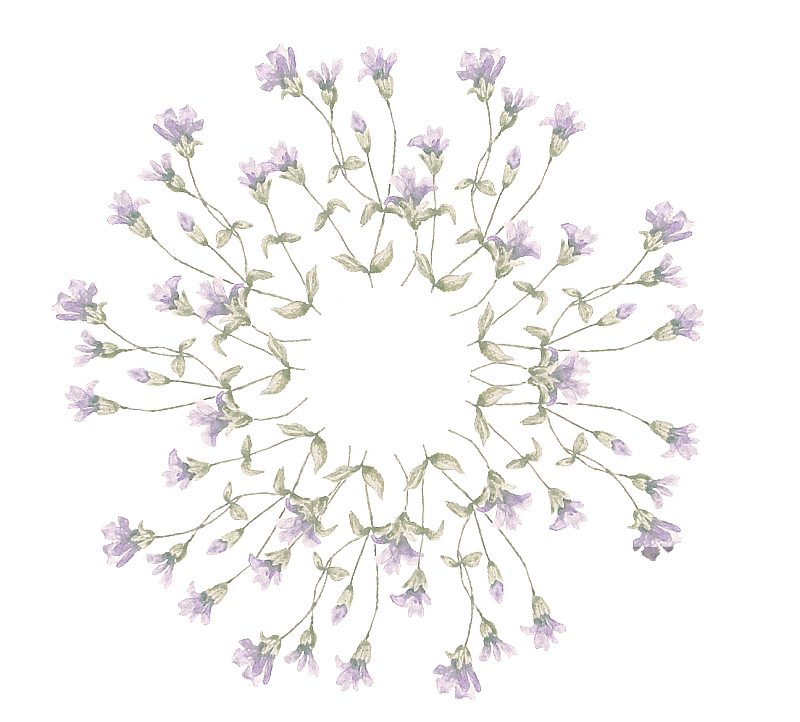 美丽的水彩花图片素材