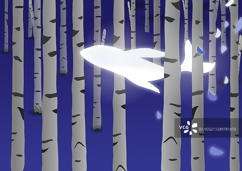 夜晚穿过白桦林的白色发光的鲸鱼图片素材