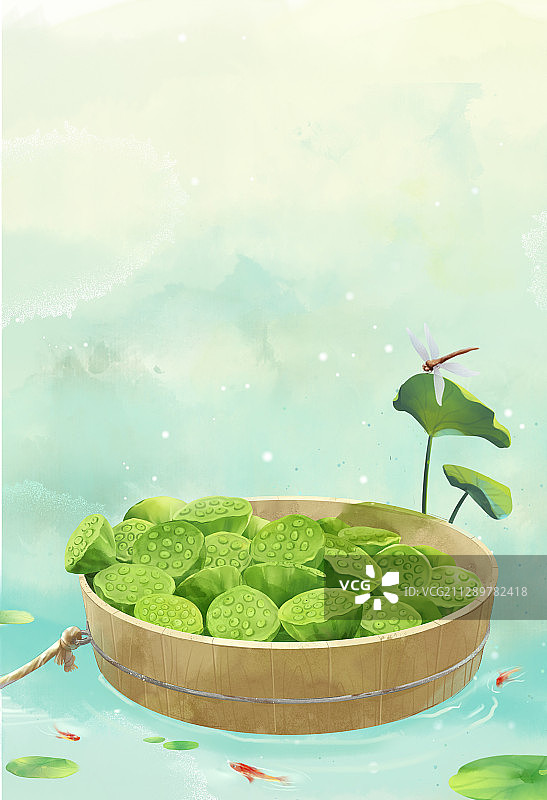 莲蓬荷叶插画图片素材