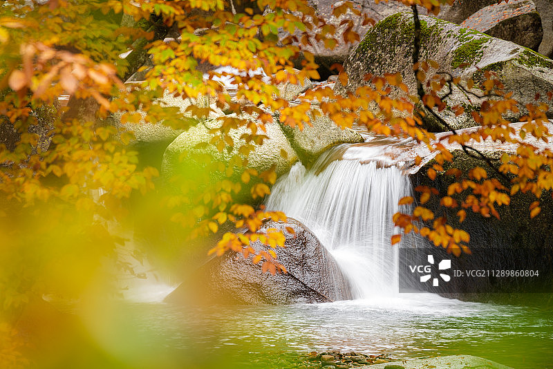 光雾山秋天红叶溪流瀑布-1图片素材