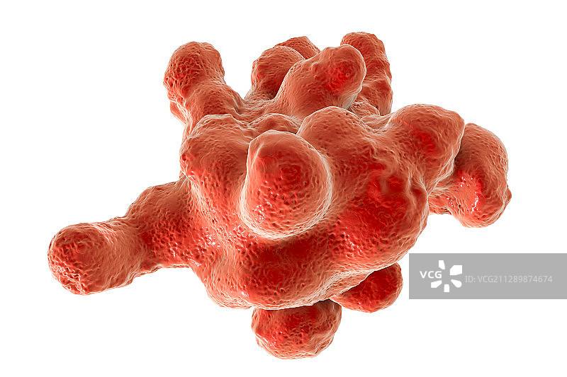 寄生性阿米巴原虫（溶组织内阿米巴），插图图片素材