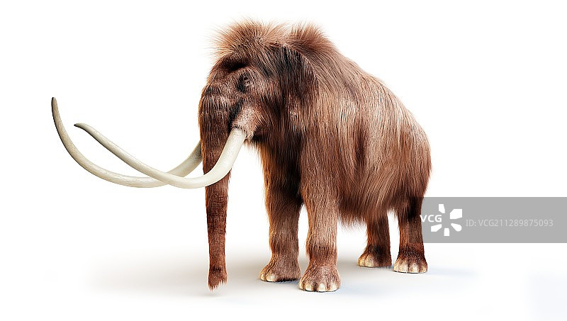 毛茸茸的猛犸象插画图片素材