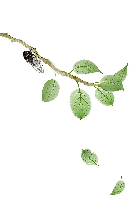 中式古风知了树枝素材图片素材