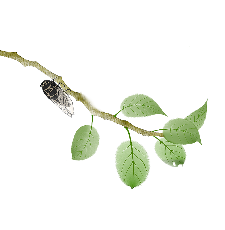 中式知了树枝素材图片素材