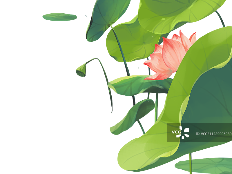 荷叶荷花元素图片素材