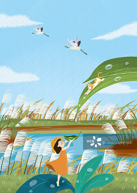 二十四节气-白露图片素材