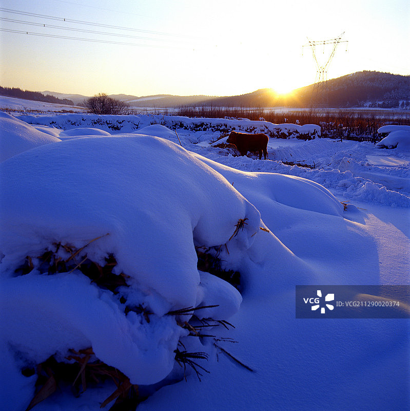 黑龙江省牡丹江市威虎山雪乡图片素材