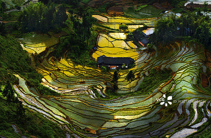 阡陌农田图片素材