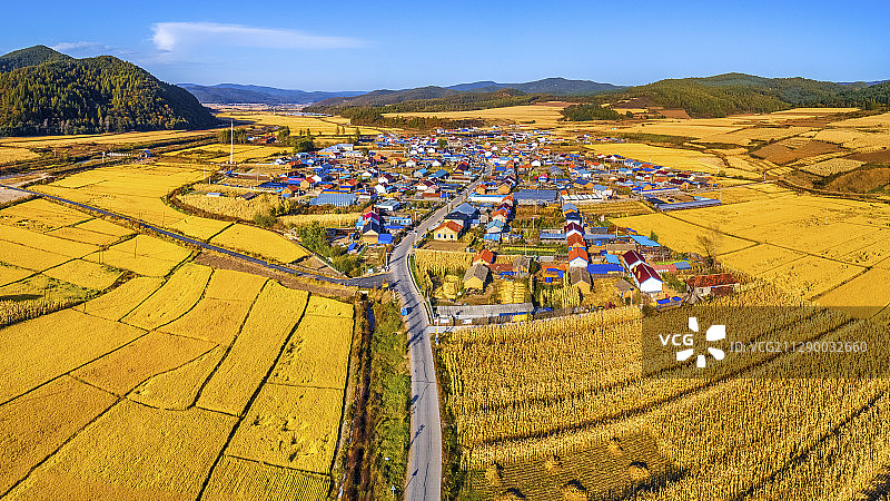 安图金秋图片素材