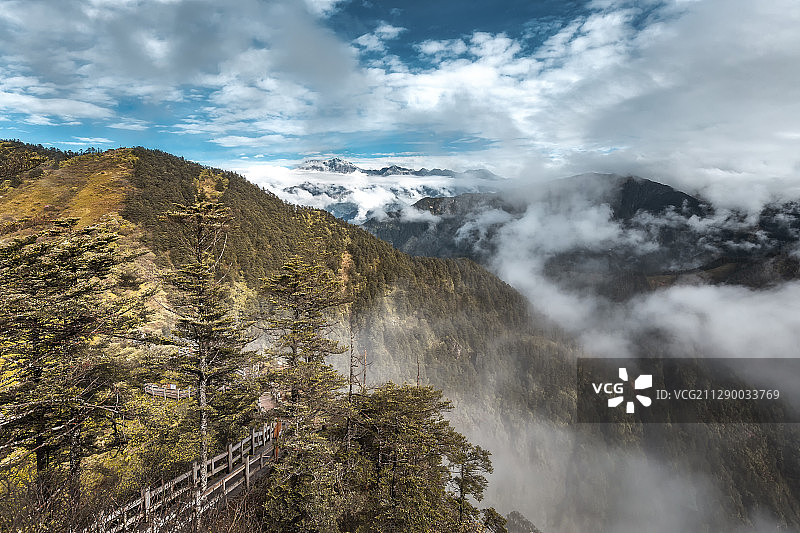 从四川成都大邑县西岭雪山山顶树林中遥望远方的大雪塘峰图片素材