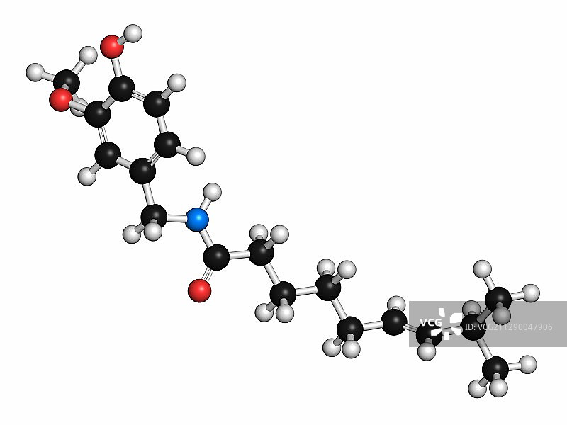 辣椒素分子图片素材