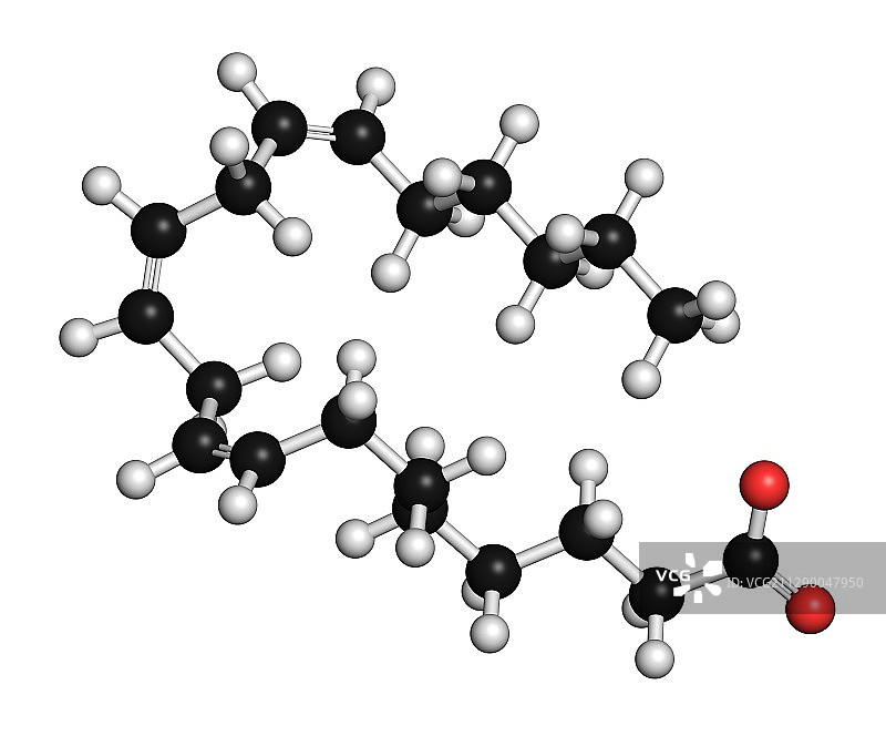 双高γ亚麻酸脂肪酸分子图片素材